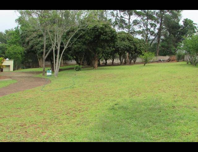 FARM FOR SALE IN WHITE RIVER ESTATES